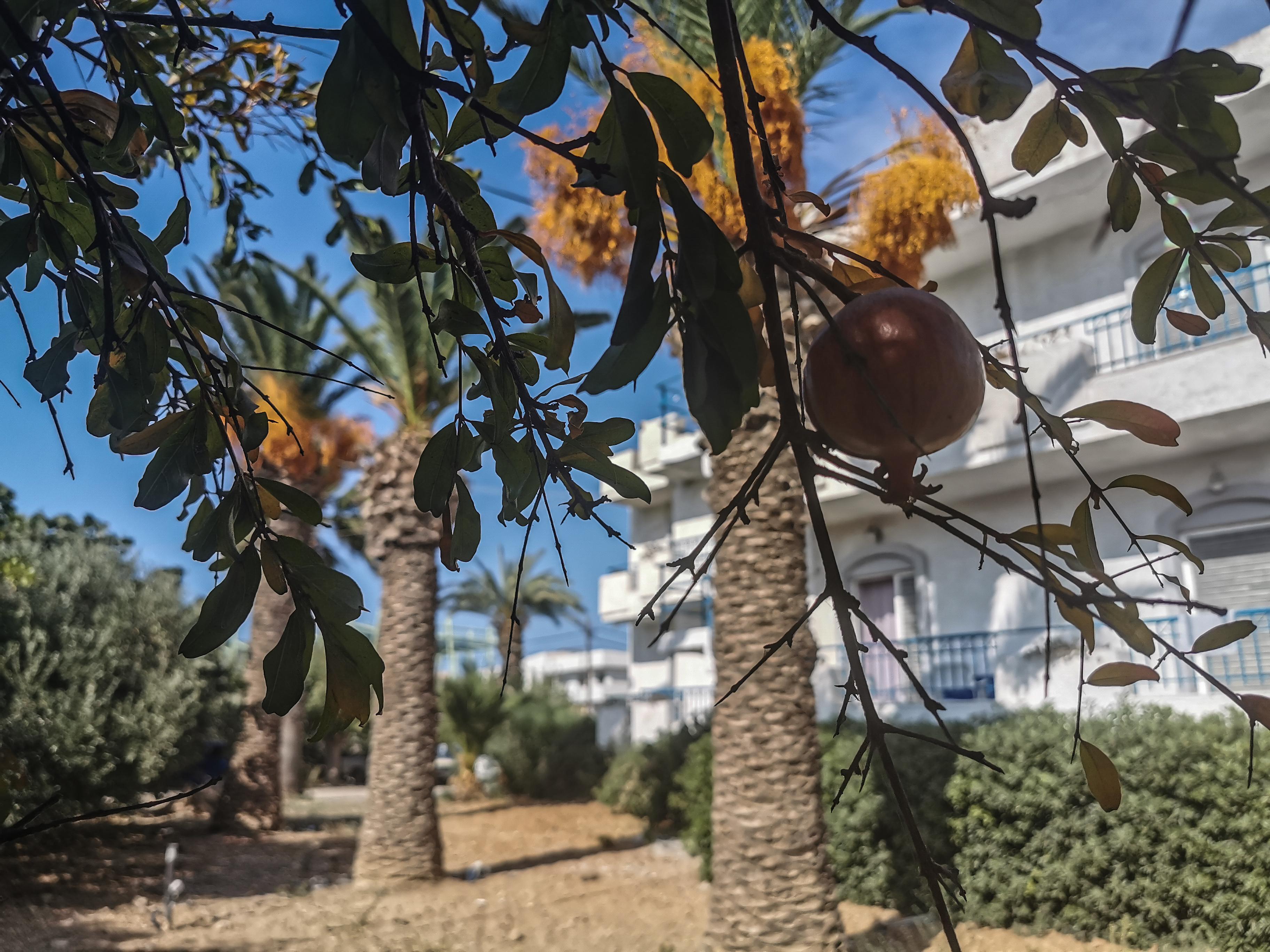 Gorgona Hotel Amoudara Lasithiou エクステリア 写真