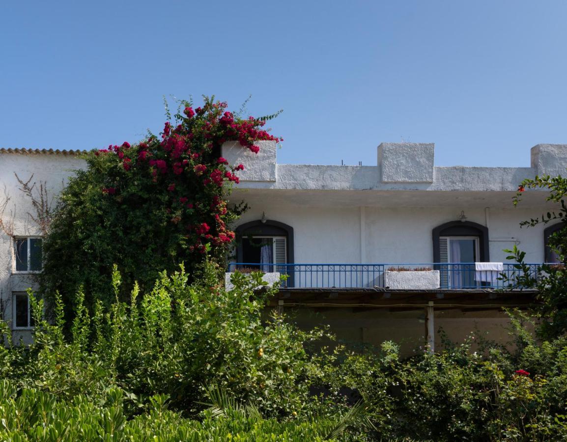 Gorgona Hotel Amoudara Lasithiou エクステリア 写真